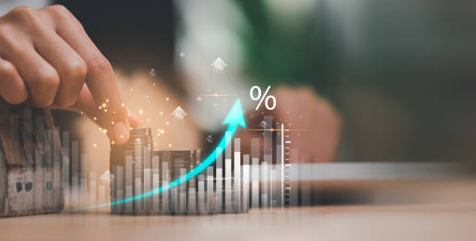 Investment Visual